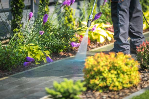 Best Animal Enclosure Cleaning  in Harpersville, AL